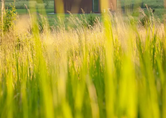 Willa Morze Dębina *